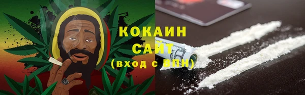 шишки Алзамай