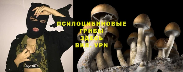кокаин колумбия Алексин