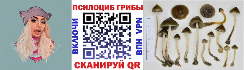 Галлюциногенные грибы GOLDEN TEACHER  Купить где  Жирновск 